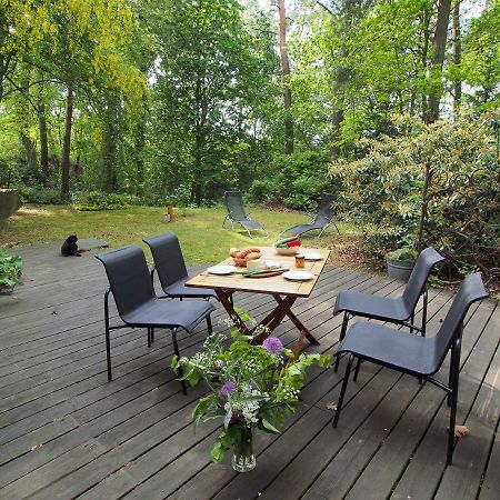 Ferienwohnung Am Duemmer See Dummer Екстериор снимка