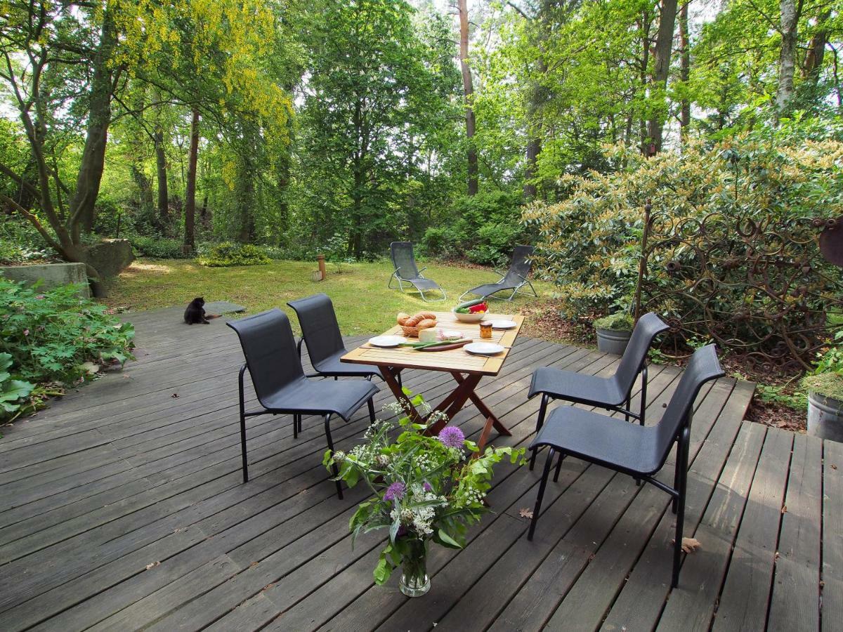 Ferienwohnung Am Duemmer See Dummer Екстериор снимка