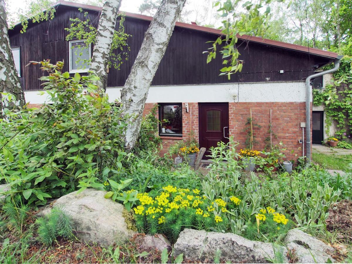Ferienwohnung Am Duemmer See Dummer Екстериор снимка