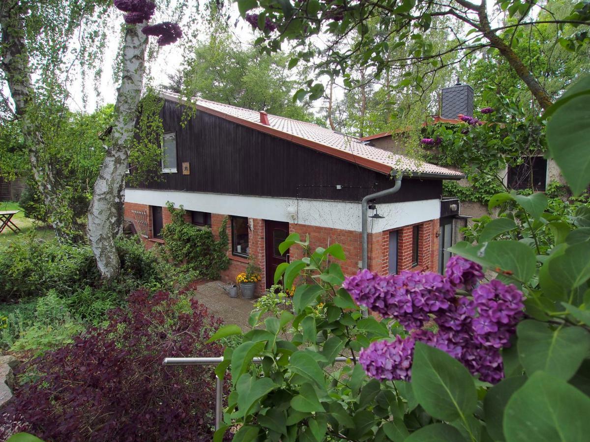 Ferienwohnung Am Duemmer See Dummer Екстериор снимка