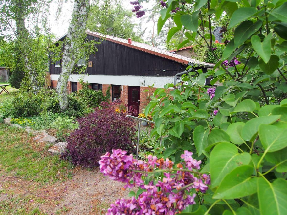 Ferienwohnung Am Duemmer See Dummer Екстериор снимка