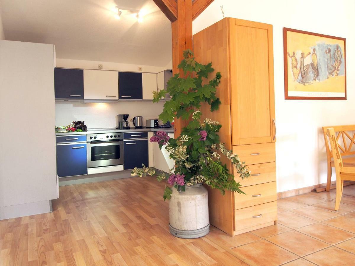 Ferienwohnung Am Duemmer See Dummer Екстериор снимка