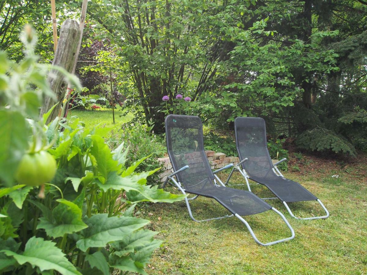 Ferienwohnung Am Duemmer See Dummer Екстериор снимка