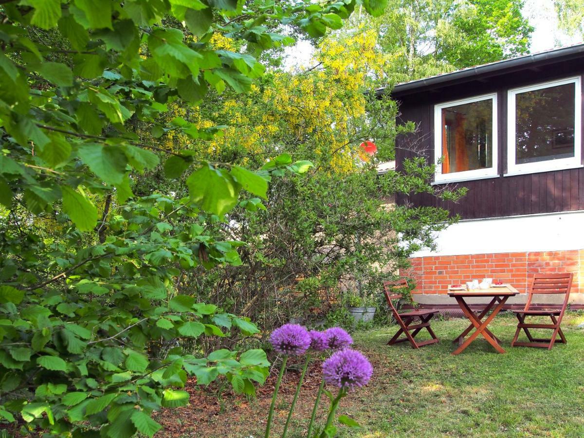 Ferienwohnung Am Duemmer See Dummer Екстериор снимка