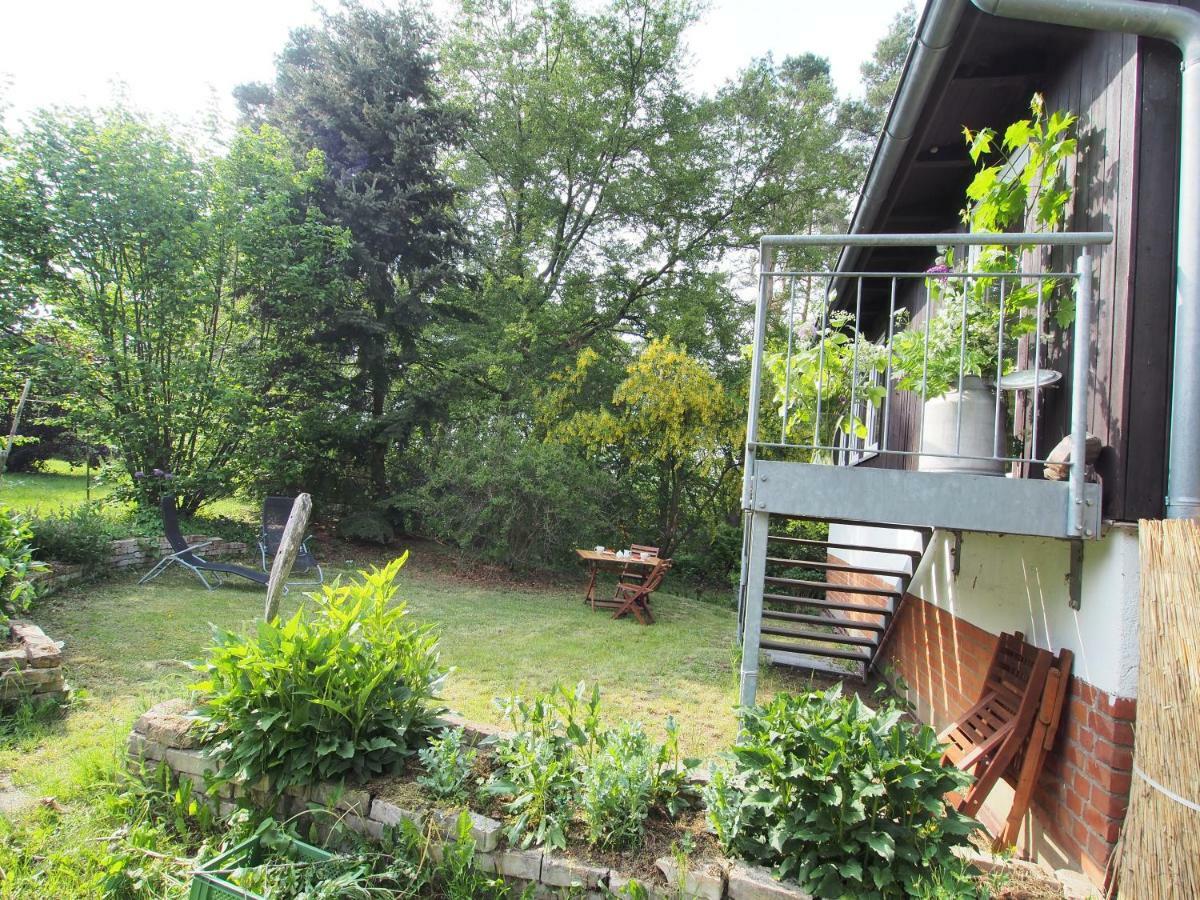 Ferienwohnung Am Duemmer See Dummer Екстериор снимка