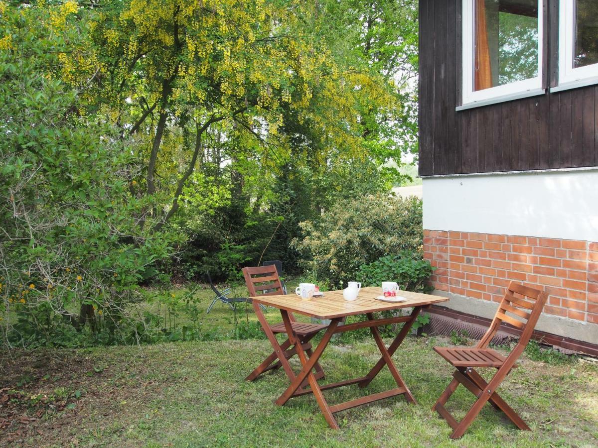 Ferienwohnung Am Duemmer See Dummer Екстериор снимка